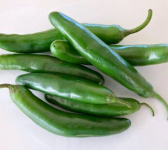 Chile Serrano /Lb.
