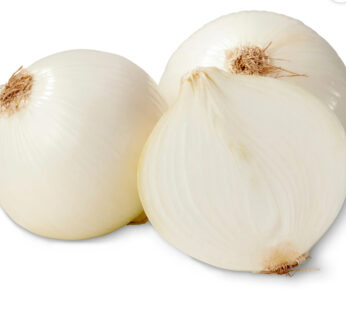 Cebolla Blanca /Lb.